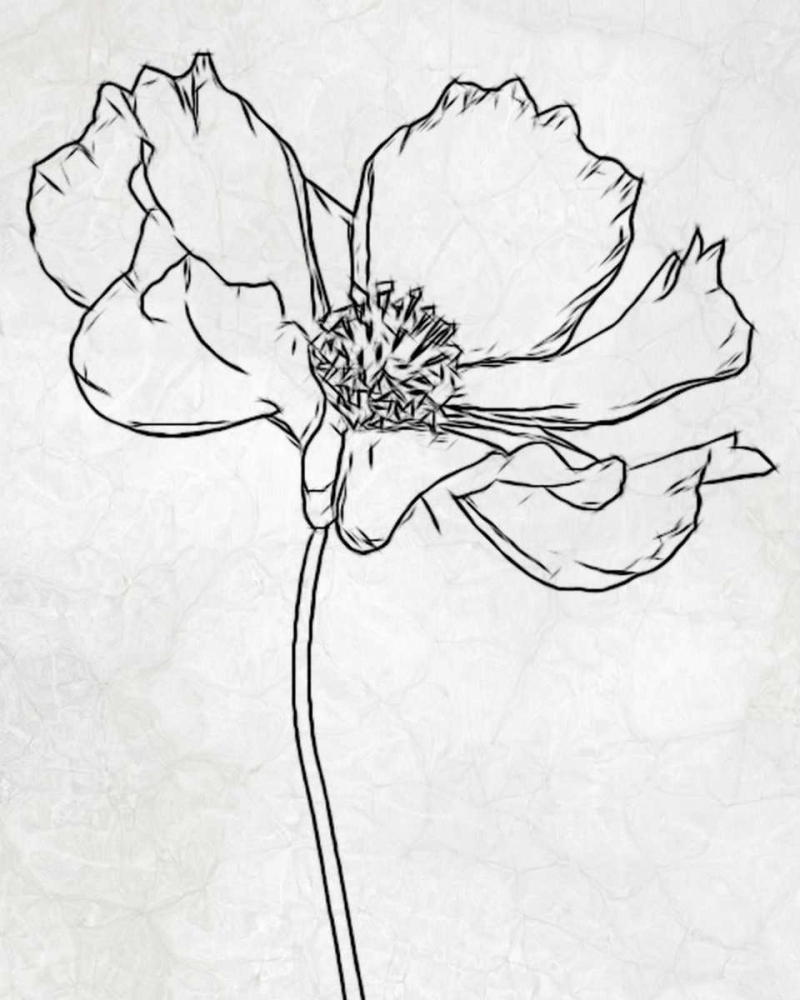 FLOWER 2 art print by Taylor Greene for $57.95 CAD