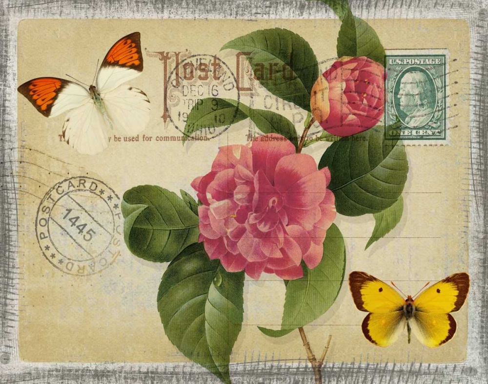 VINTAGE BUTTERFLY POSTCARD I art print by Taylor Greene for $57.95 CAD