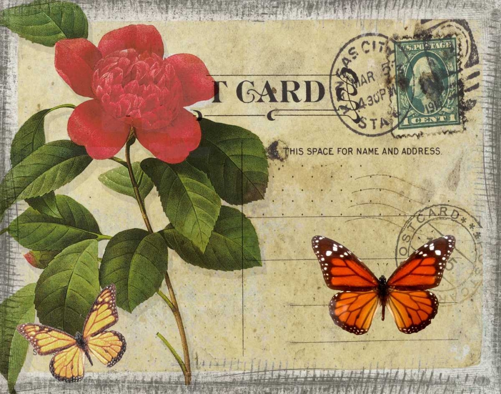 VINTAGE BUTTERFLY POSTCARD II art print by Taylor Greene for $57.95 CAD