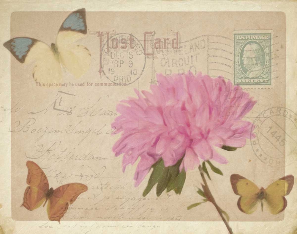 VINTAGE BUTTERFLY POSTCARD III art print by Taylor Greene for $57.95 CAD