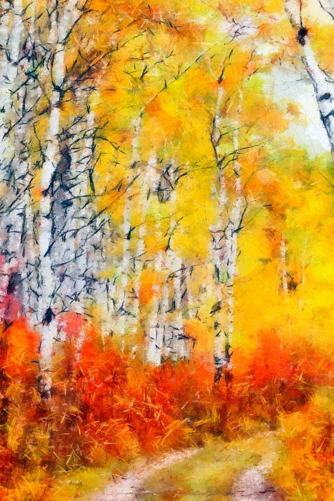 The Path art print by Taylor Greene for $57.95 CAD