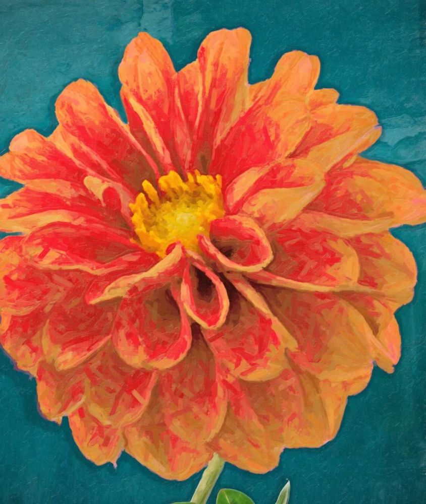 POPPY IN BLOOM art print by Taylor Greene for $57.95 CAD