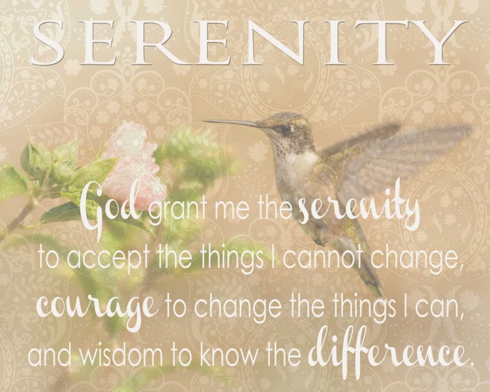 SERENITY HUMMINGBIRD art print by Taylor Greene for $57.95 CAD