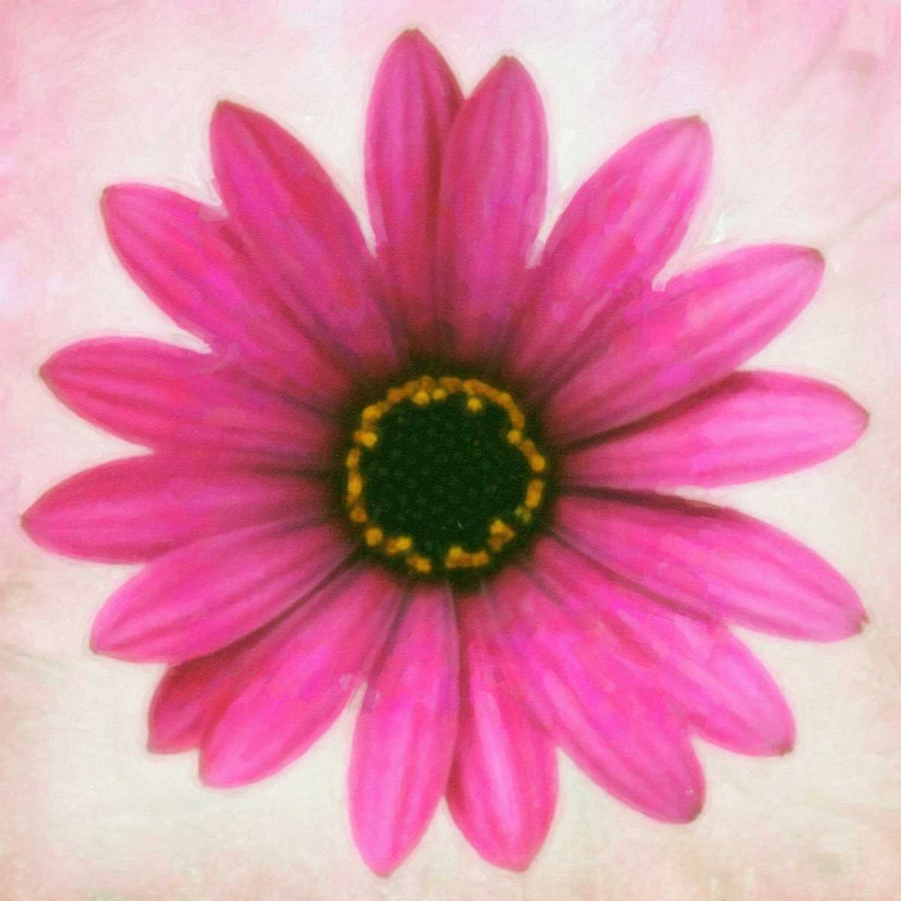 DAISY CHAIN 1 art print by Taylor Greene for $57.95 CAD