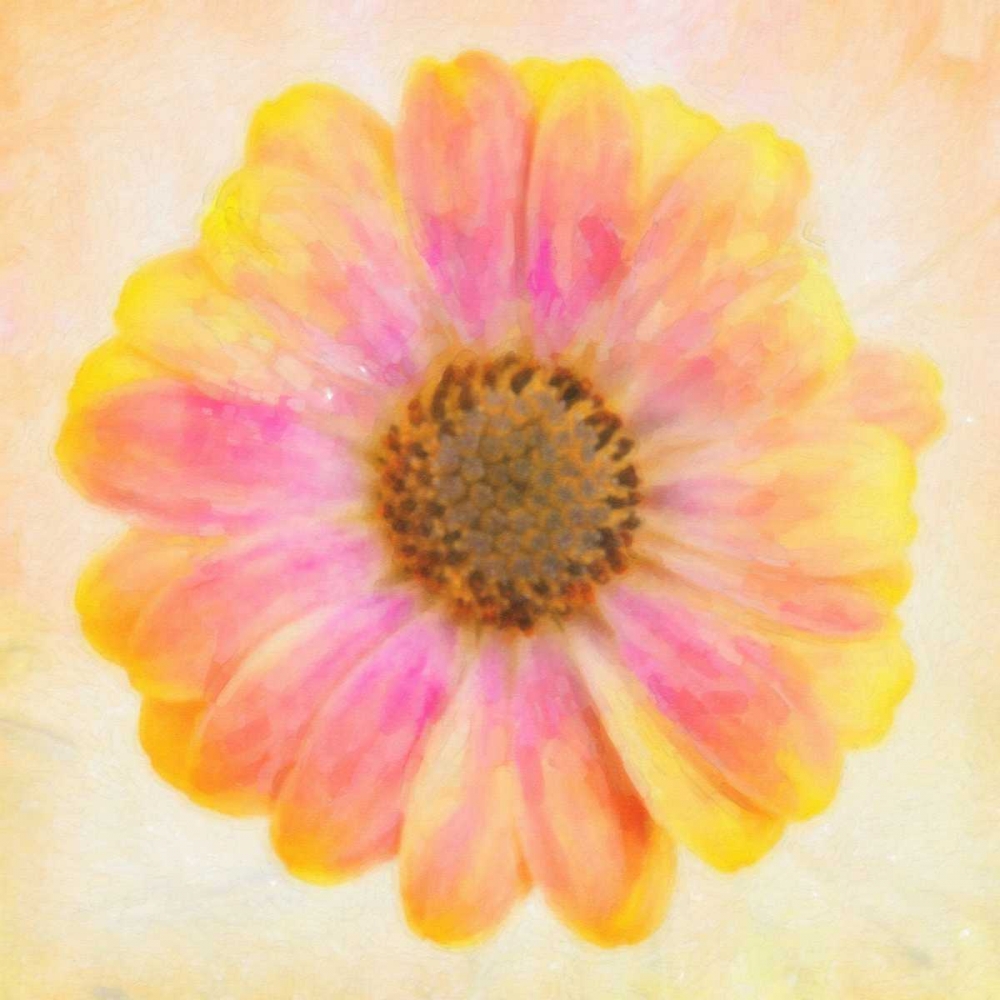 DAISY CHAIN 2 art print by Taylor Greene for $57.95 CAD