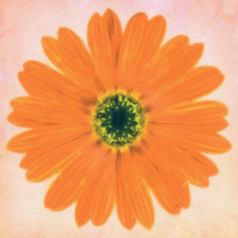 DAISY CHAIN 3 art print by Taylor Greene for $57.95 CAD