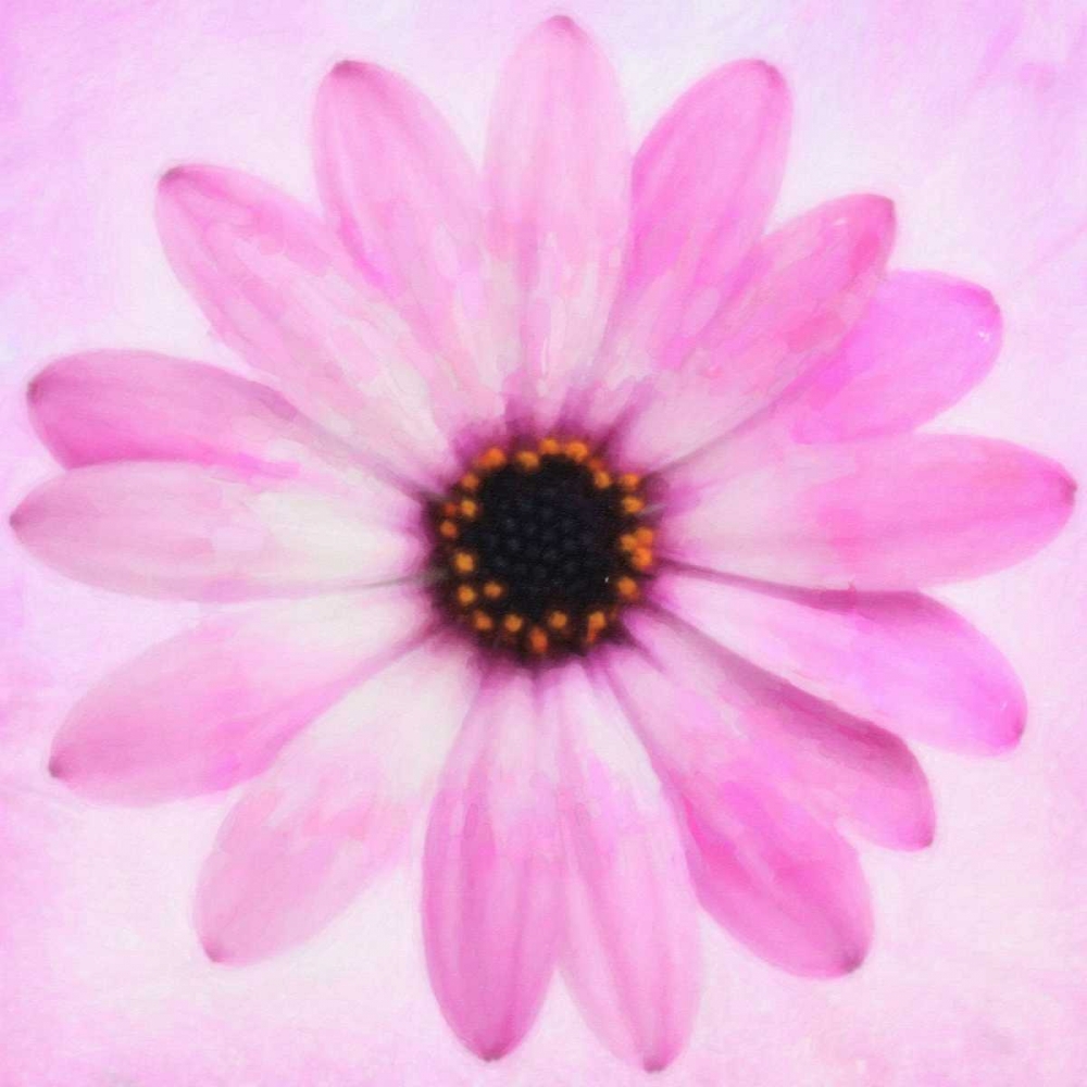 DAISY CHAIN 4 art print by Taylor Greene for $57.95 CAD