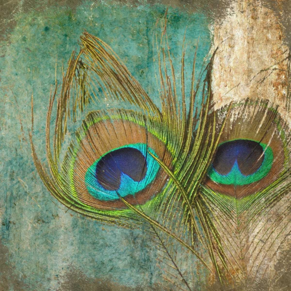 Peacock 2 art print by Taylor Greene for $57.95 CAD