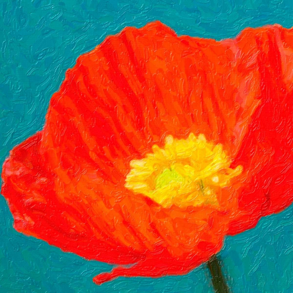 Poppies On Blue 2 art print by Taylor Greene for $57.95 CAD