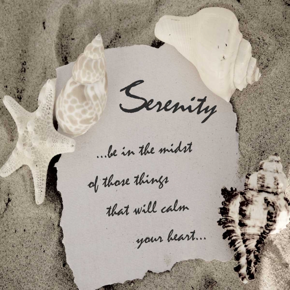 Shell Group 1 art print by Taylor Greene for $57.95 CAD