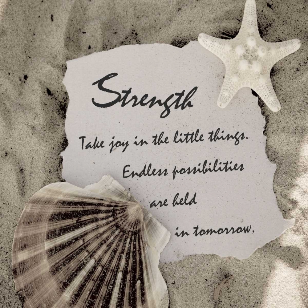 Shell Group 2 art print by Taylor Greene for $57.95 CAD