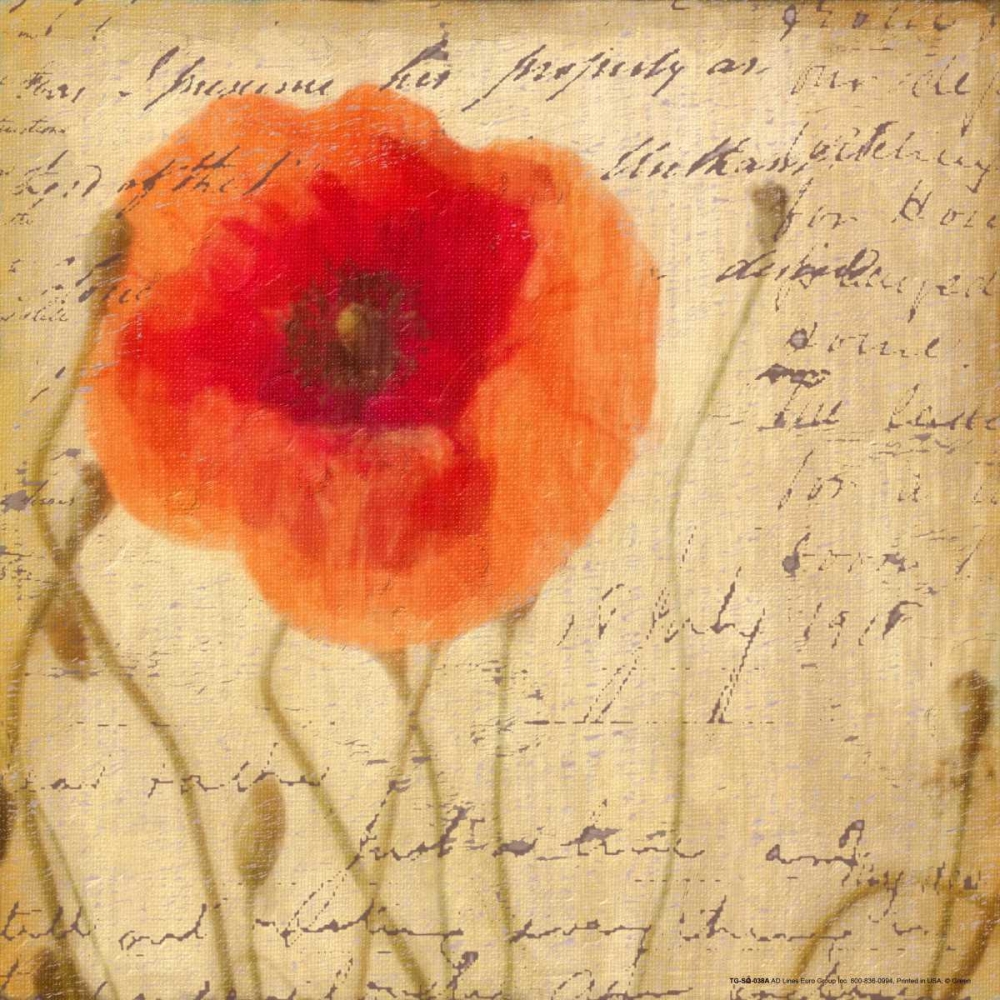 POPPY SCRIPT I art print by Taylor Greene for $57.95 CAD