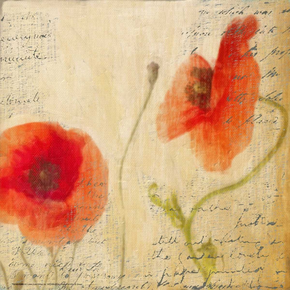 POPPY SCRIPT II art print by Taylor Greene for $57.95 CAD