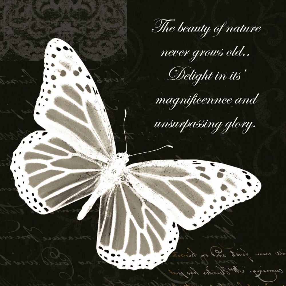 Beauty Butterfly art print by Taylor Greene for $57.95 CAD
