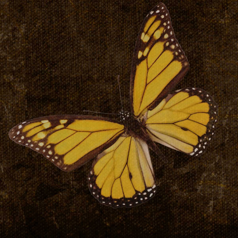 OSCAR GOLD A8 art print by Taylor Greene for $57.95 CAD