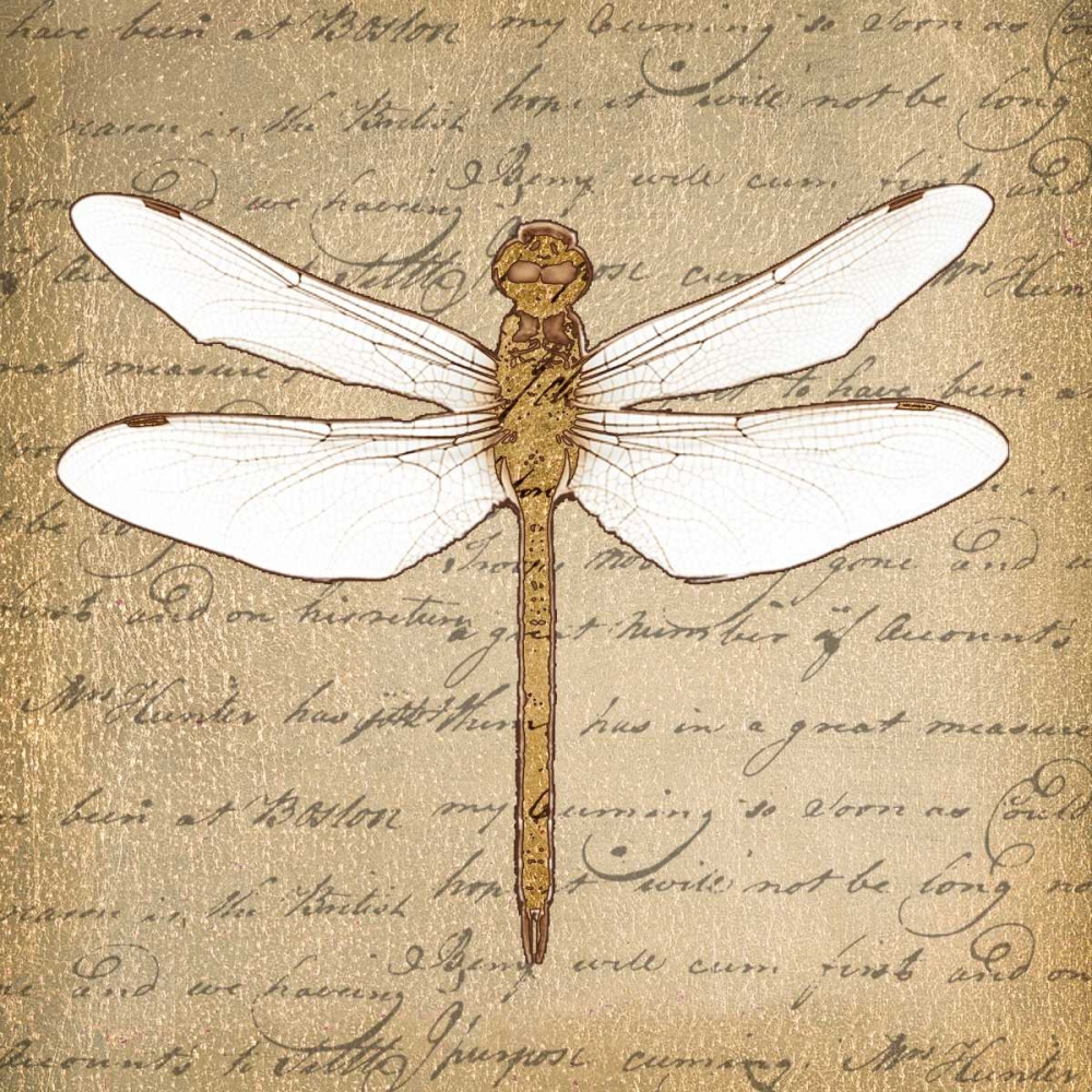 DRAGONFLY ON GOLD art print by Taylor Greene for $57.95 CAD