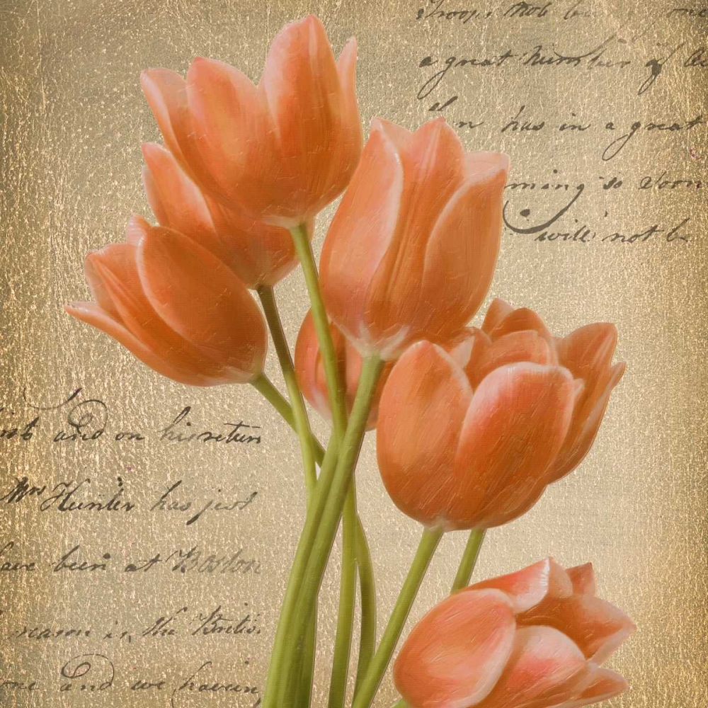 ORANGE TULIP I ON GOLD art print by Taylor Greene for $57.95 CAD