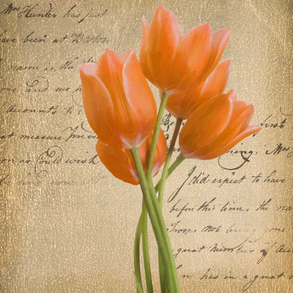 ORANGE TULIP II ON GOLD art print by Taylor Greene for $57.95 CAD