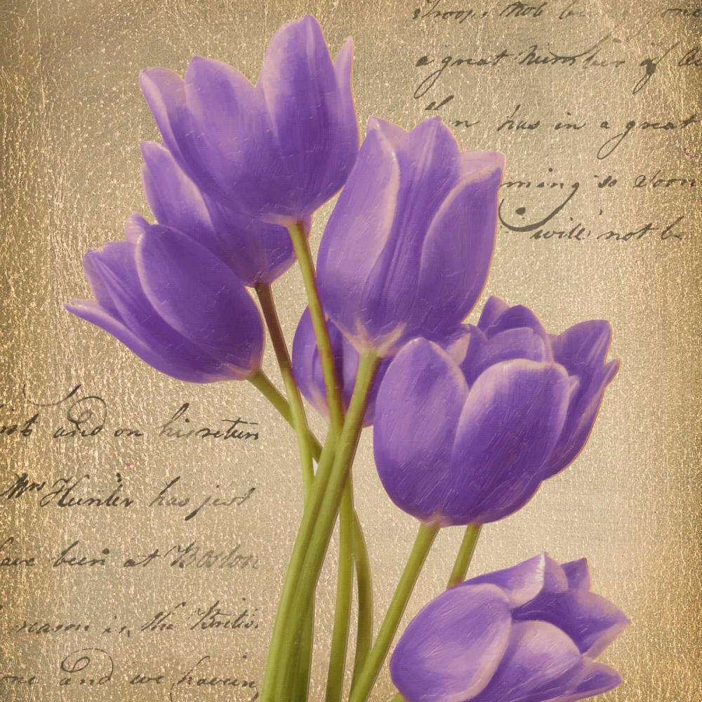 PURPLE TULIP I ON GOLD art print by Taylor Greene for $57.95 CAD