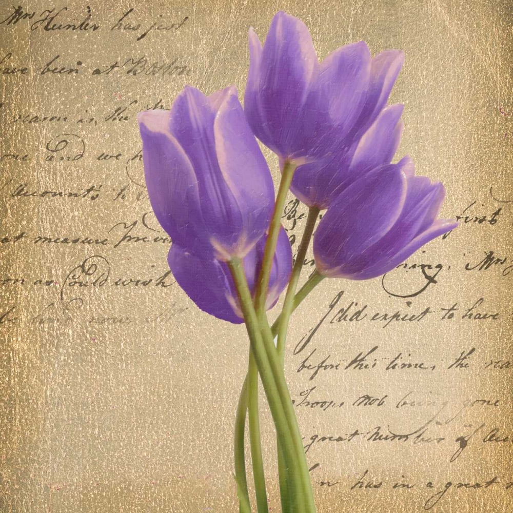 PURPLE TULIP II ON GOLD art print by Taylor Greene for $57.95 CAD