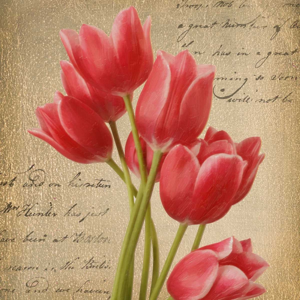 RED TULIP I ON GOLD art print by Taylor Greene for $57.95 CAD