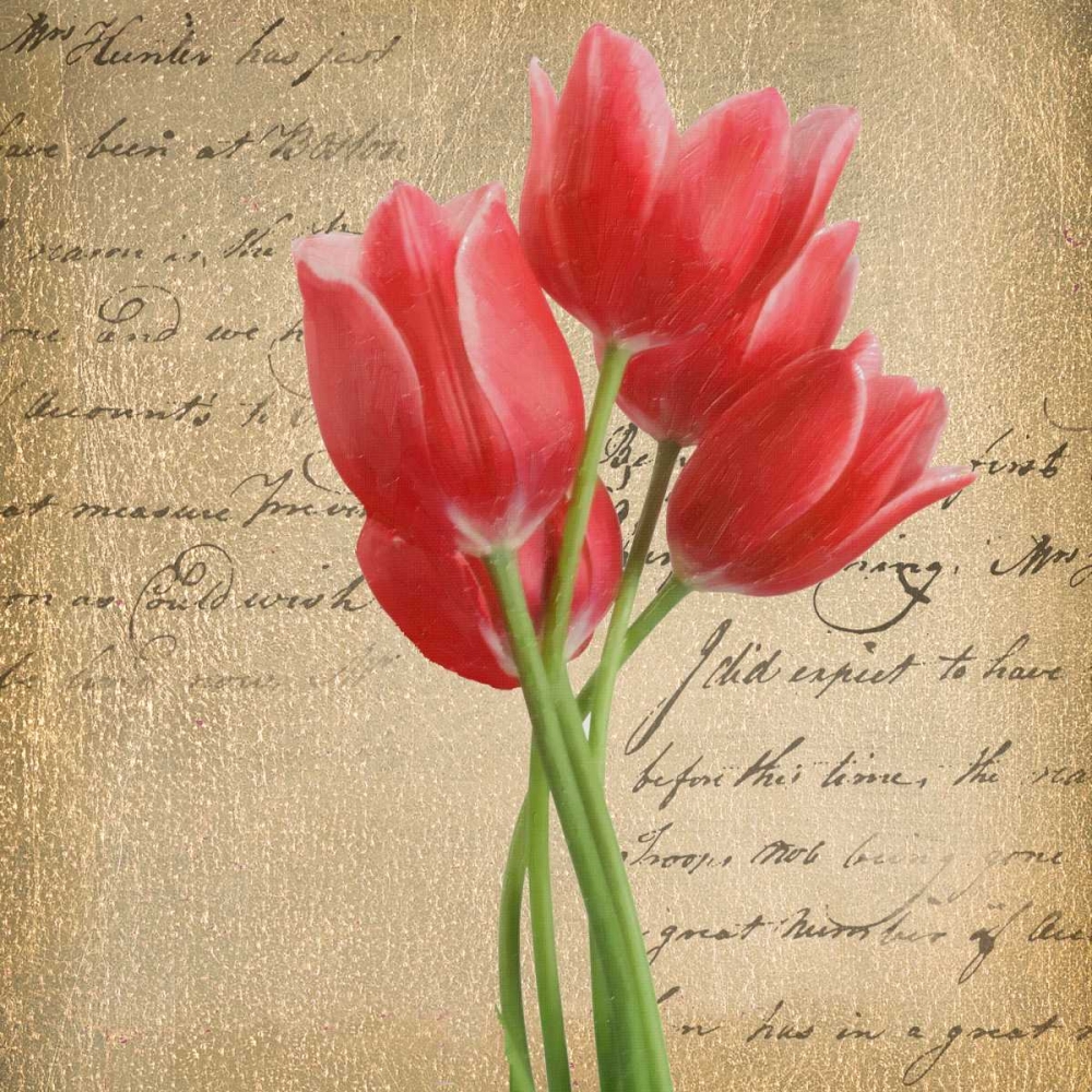 RED TULIP II ON GOLD art print by Taylor Greene for $57.95 CAD