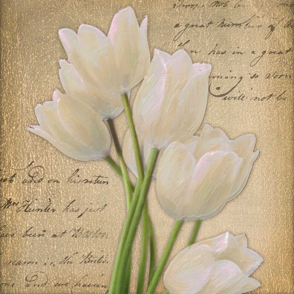 WHITE TULIP  ON GOLD A art print by Taylor Greene for $57.95 CAD