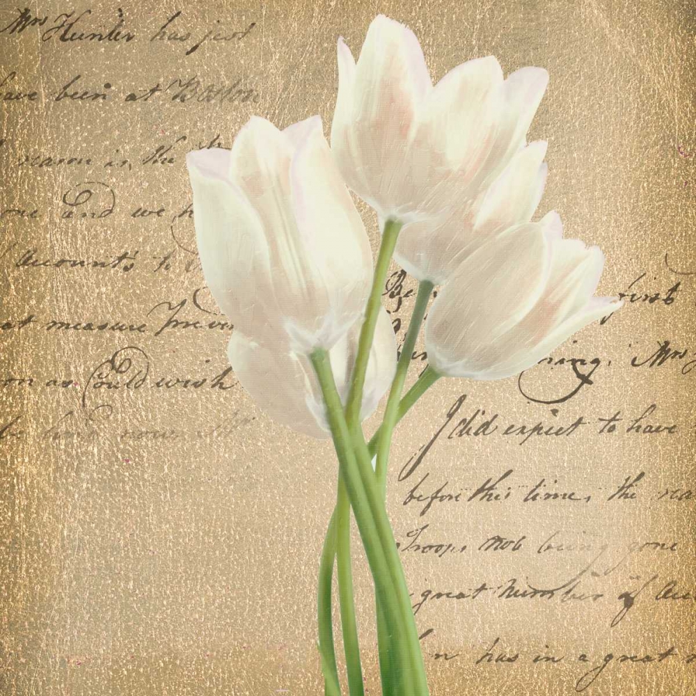 WHITE TULIP II ON GOLD B art print by Taylor Greene for $57.95 CAD