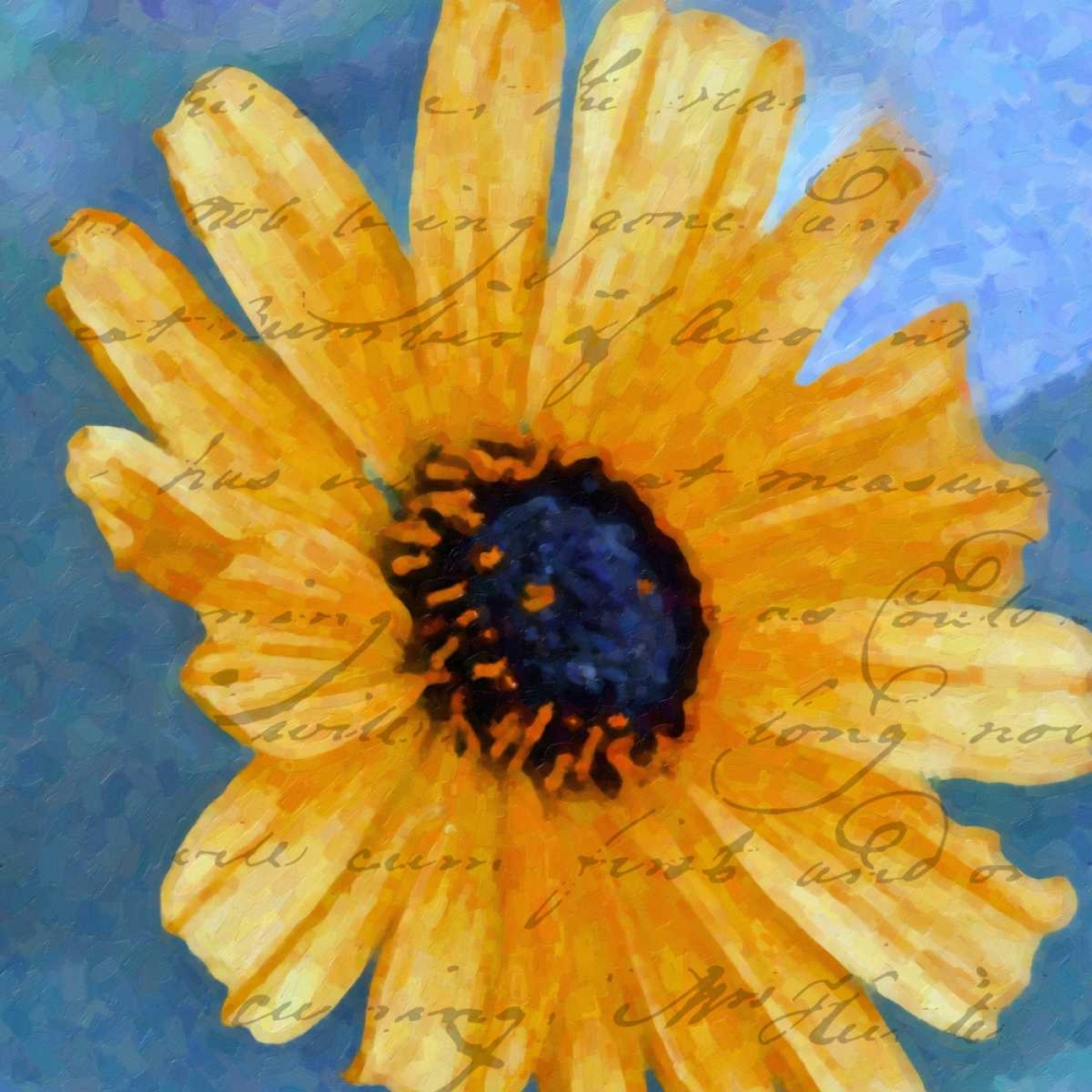 SCRIPTED WILD SUNFLOWER I art print by Taylor Greene for $57.95 CAD
