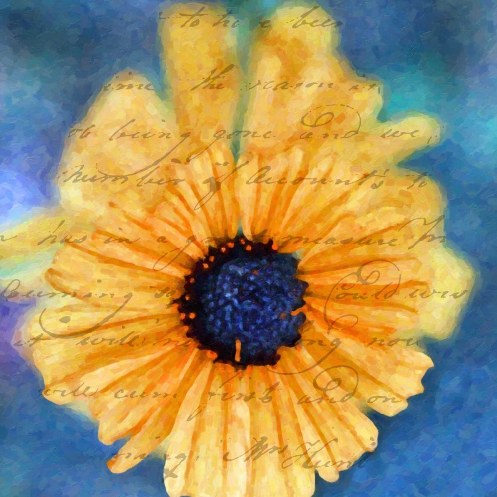 SCRIPTED WILD SUNFLOWER II art print by Taylor Greene for $57.95 CAD