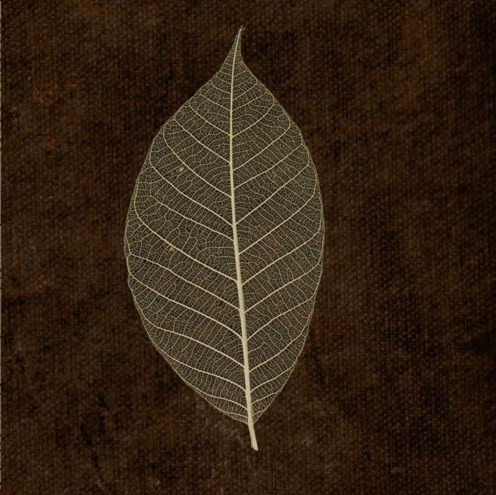 Spice Gold Leaf art print by Taylor Greene for $57.95 CAD