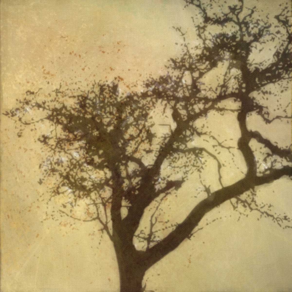 Silo Beauty Tree art print by Taylor Greene for $57.95 CAD