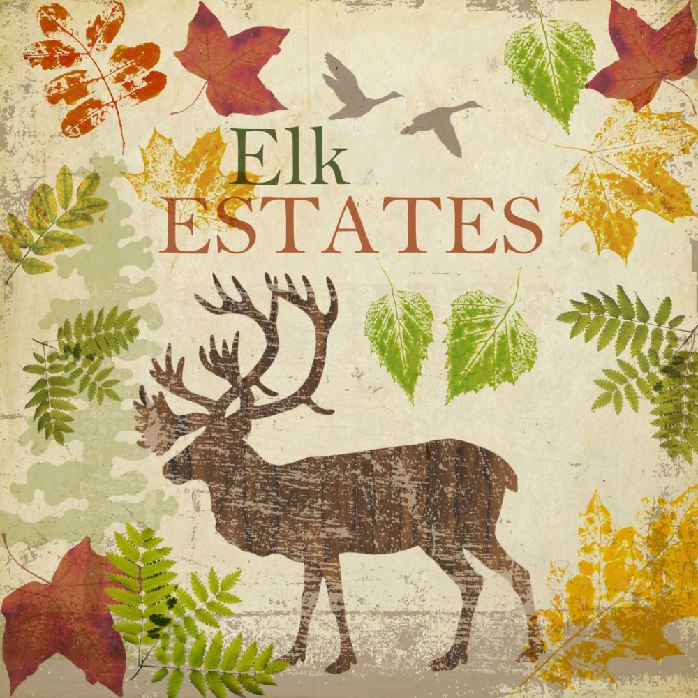 ELK B2 art print by Taylor Greene for $57.95 CAD