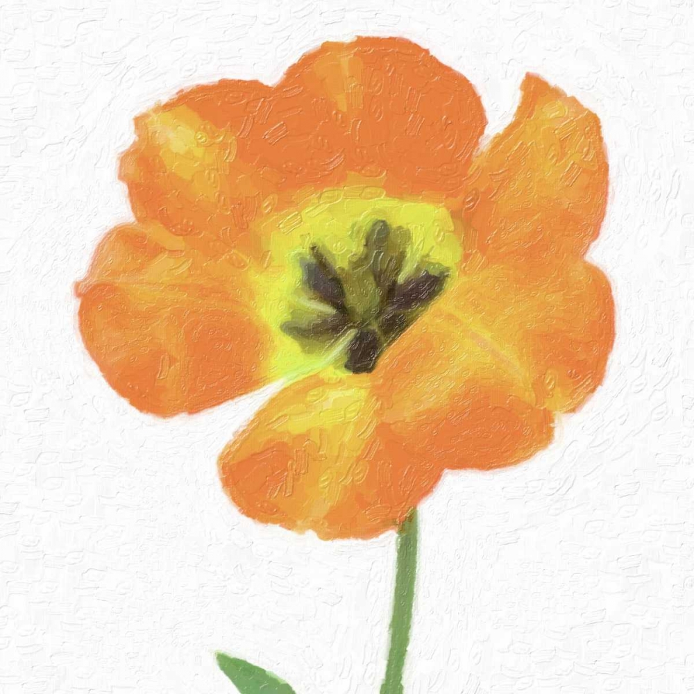 CIRCUS ROSE art print by Taylor Greene for $57.95 CAD
