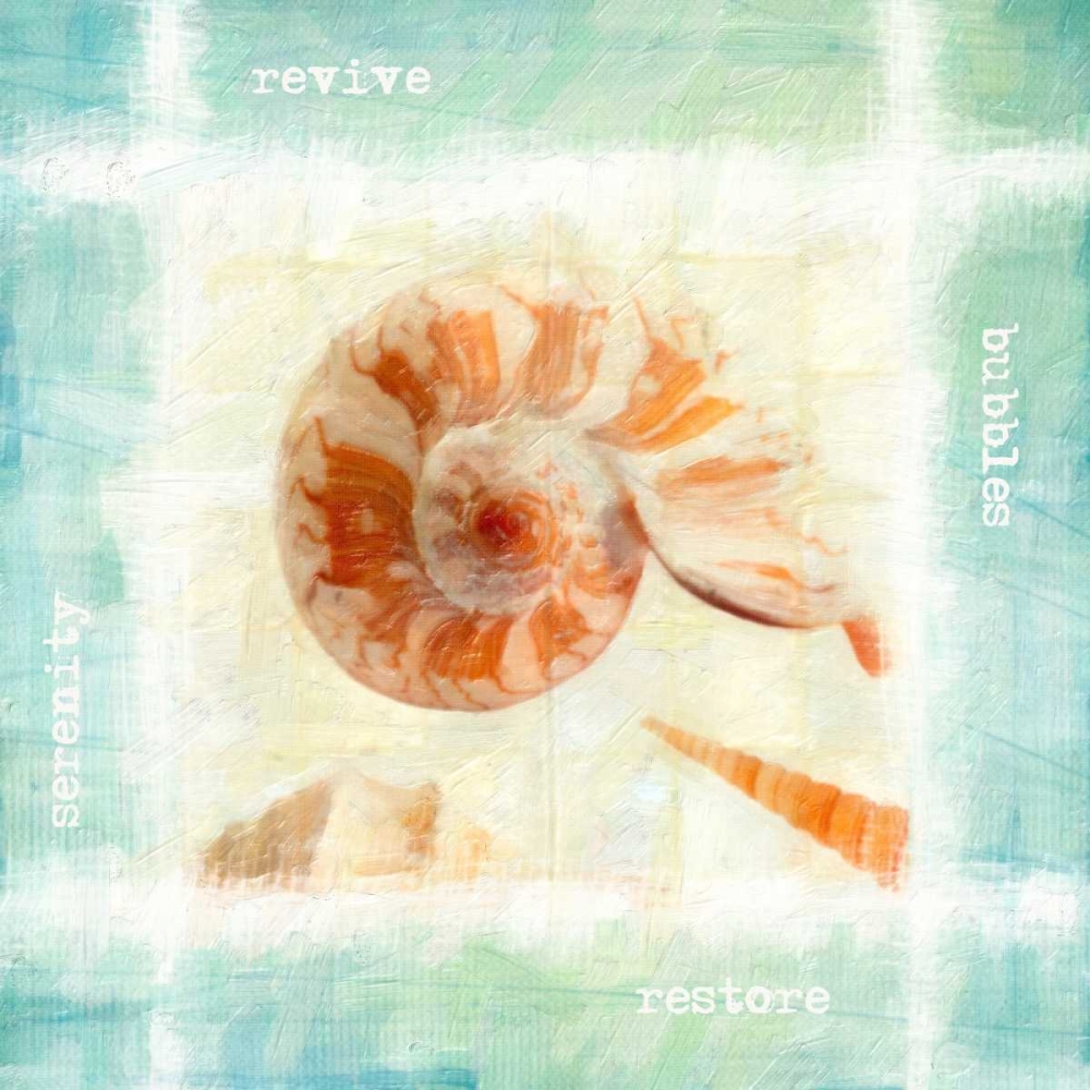Calming Shells art print by Taylor Greene for $57.95 CAD