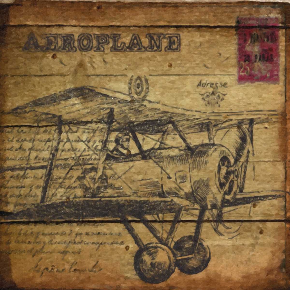 VINTAGE AEROPLANE art print by Taylor Greene for $57.95 CAD
