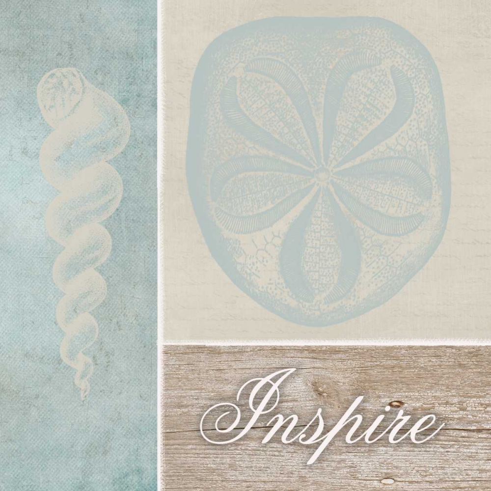 Inspire Shells art print by Taylor Greene for $57.95 CAD