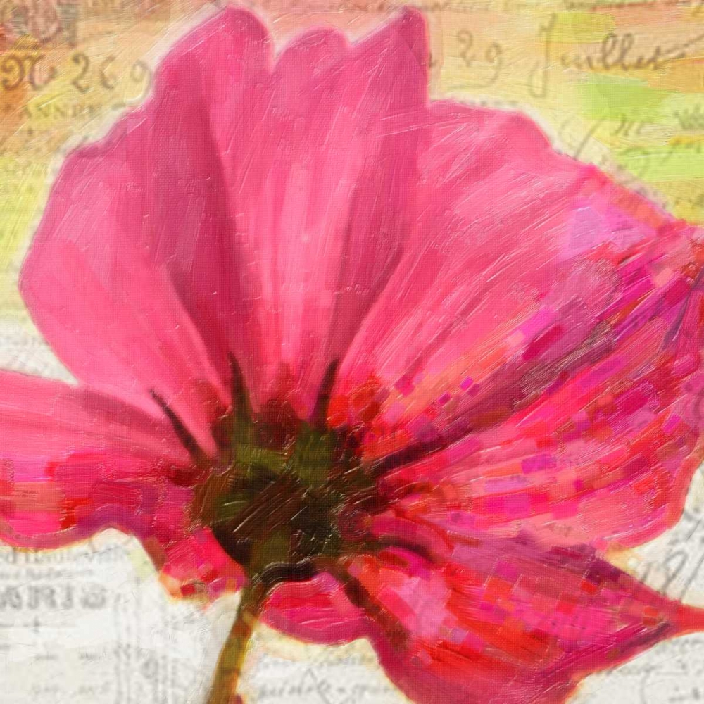Red Poppy II art print by Taylor Greene for $57.95 CAD