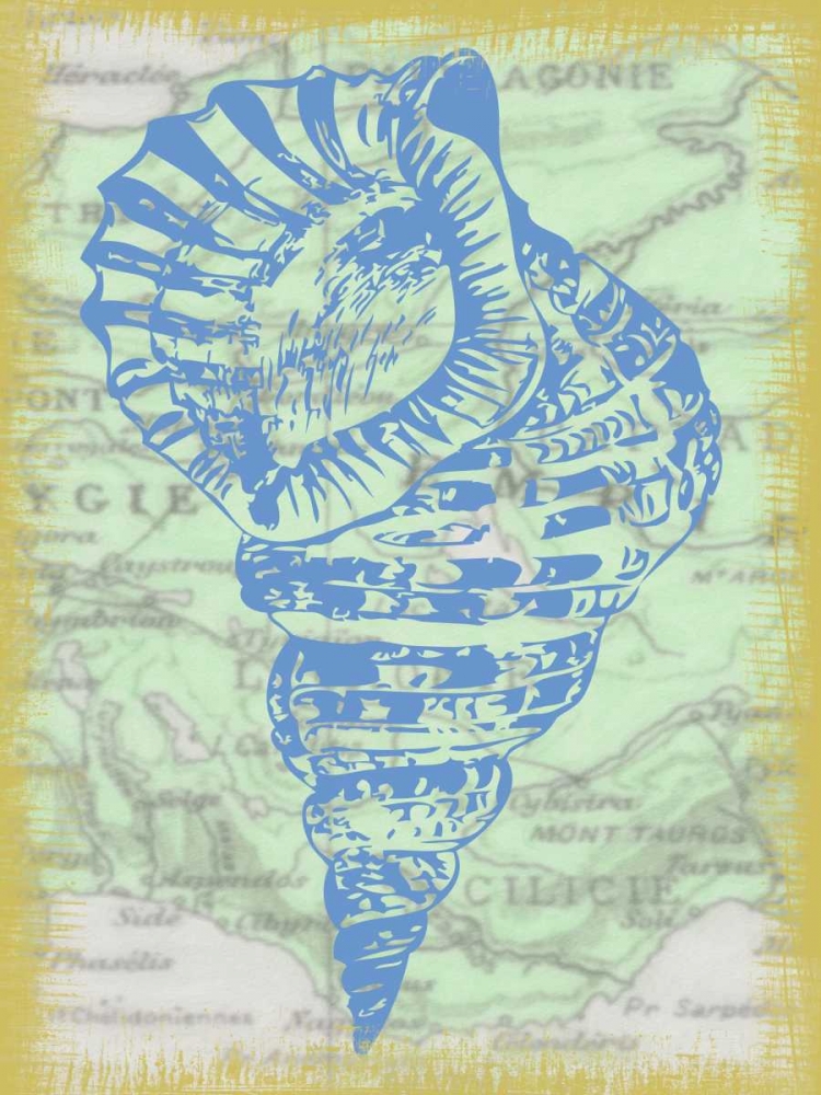 SHELL art print by Taylor Greene for $57.95 CAD