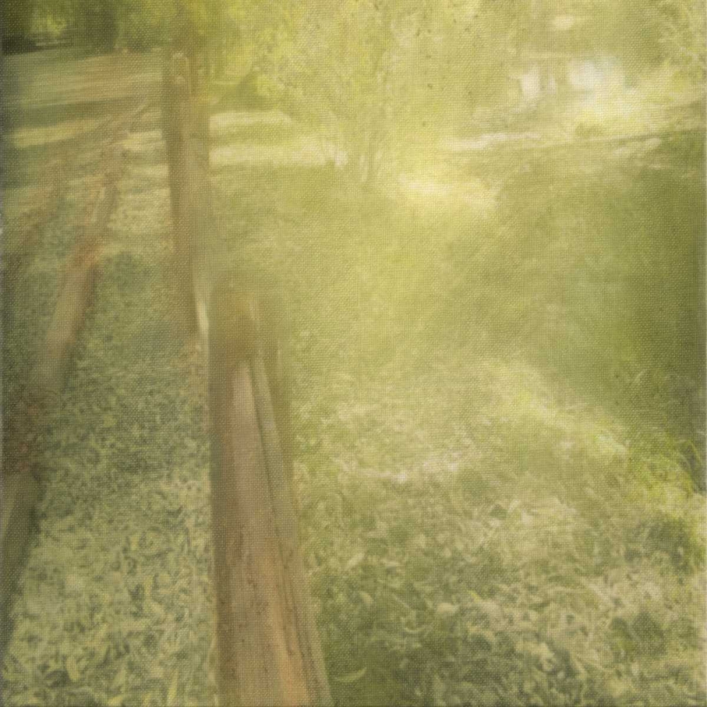 Sunlight Silhouette art print by Taylor Greene for $57.95 CAD