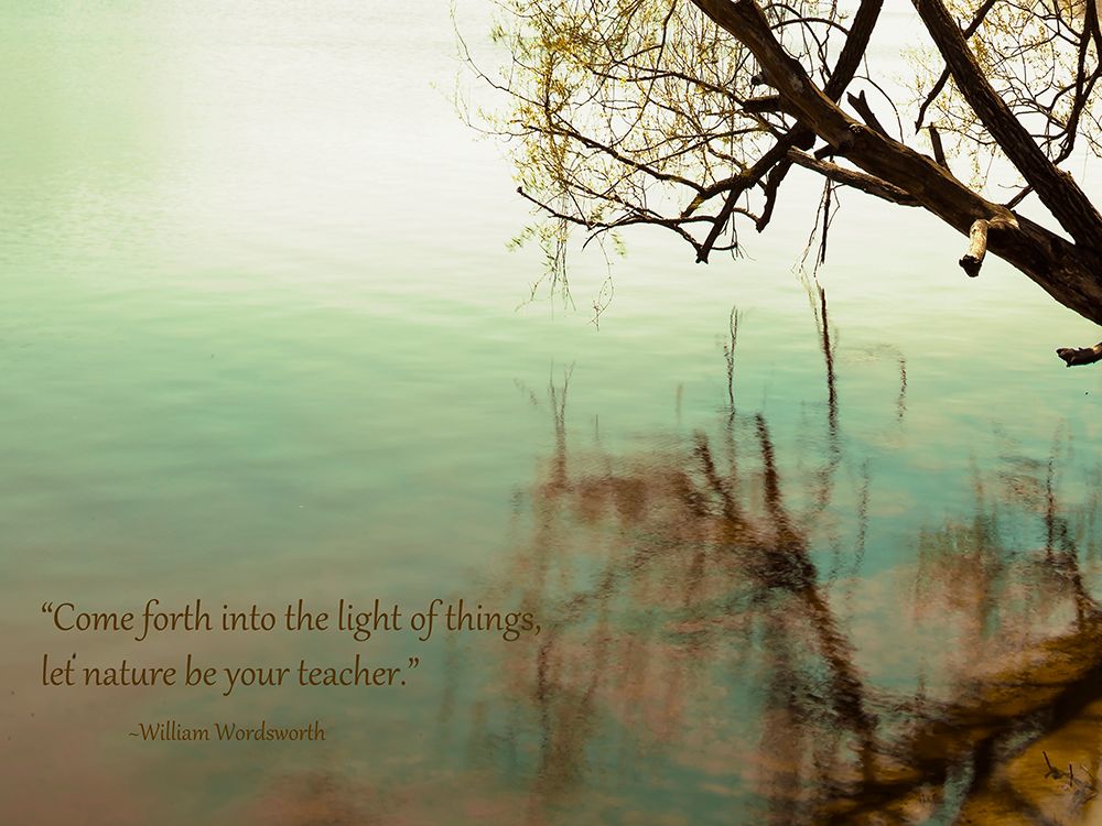 Come Forth In Nature art print by Tracey Telik for $57.95 CAD