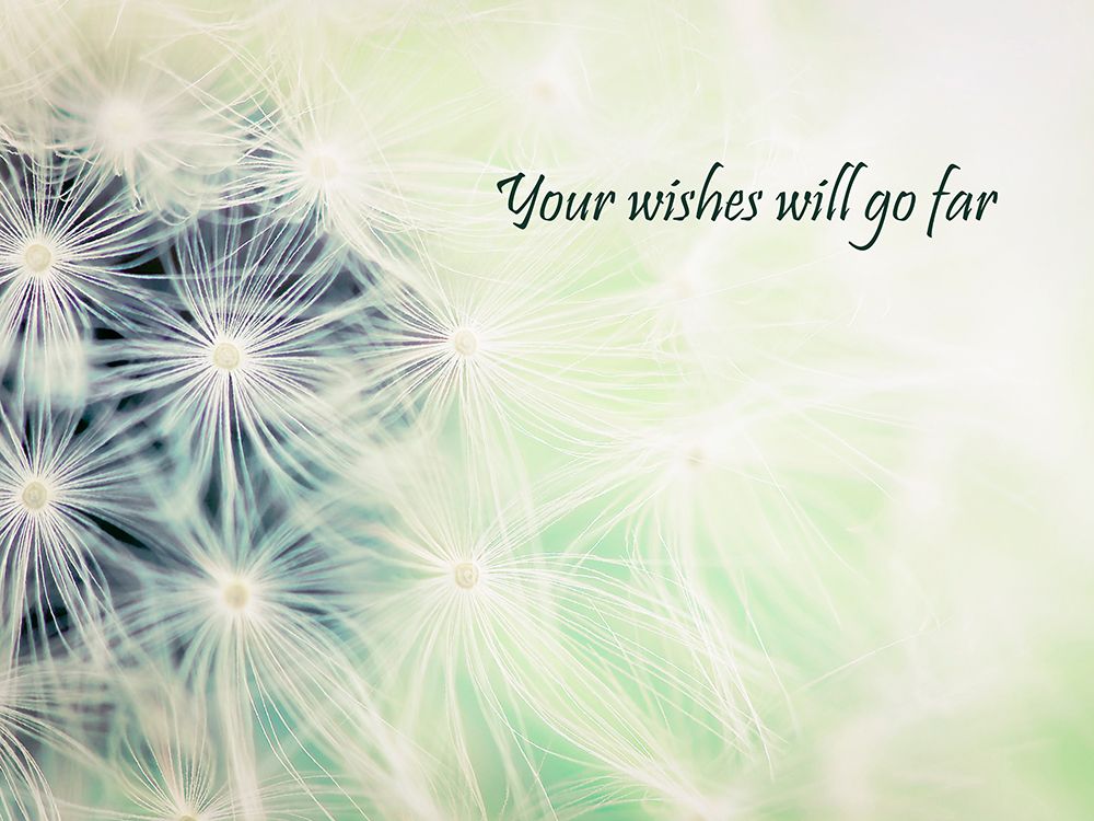 Wishes Green art print by Tracey Telik for $57.95 CAD