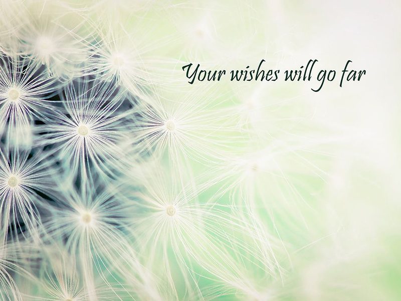 Wishes Green art print by Tracey Telik for $57.95 CAD