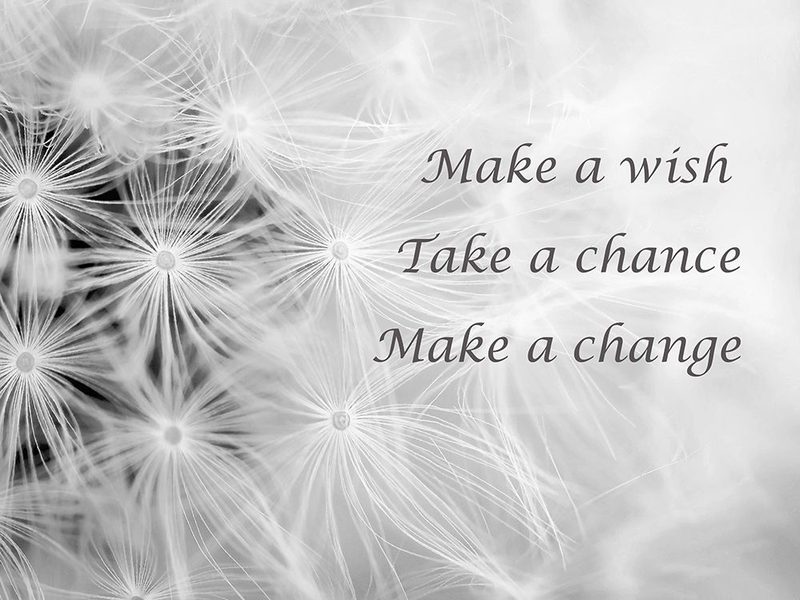 Wishes Black And White art print by Tracey Telik for $57.95 CAD