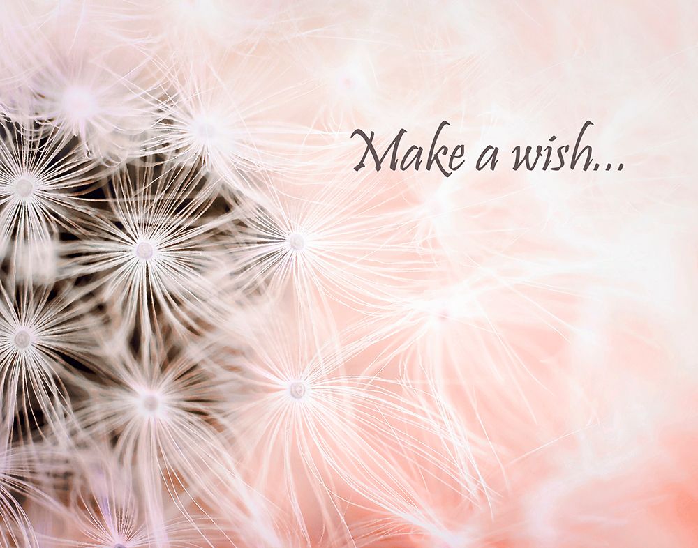 Wishes Pink art print by Tracey Telik for $57.95 CAD