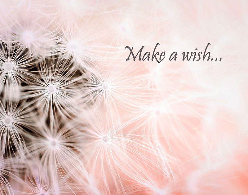 Wishes Pink art print by Tracey Telik for $57.95 CAD