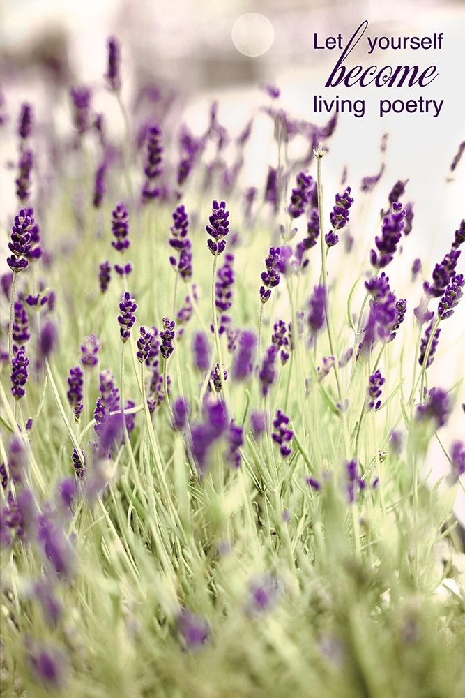 Lavender 2 Quote art print by Tracey Telik for $57.95 CAD