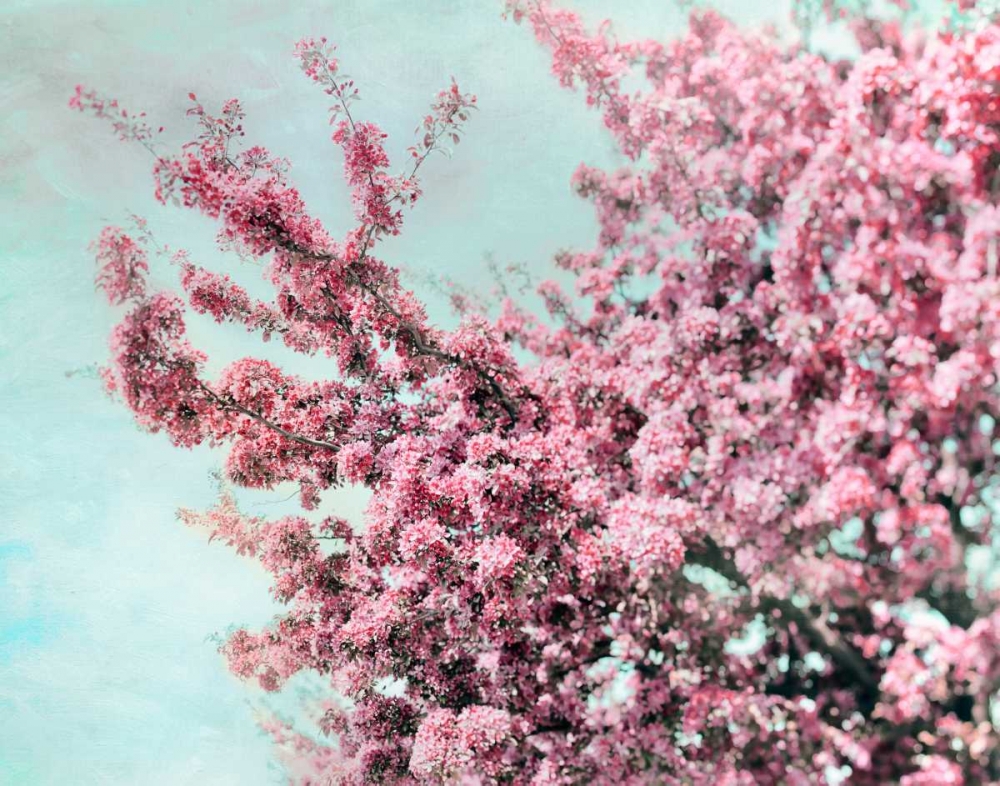 Blossoming Spring art print by Tracey Telik for $57.95 CAD