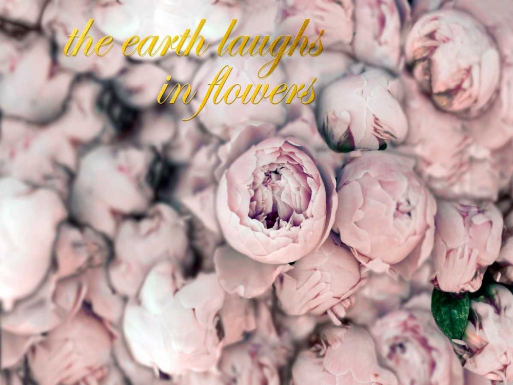 Laugh Flowers art print by Tracey Telik for $57.95 CAD