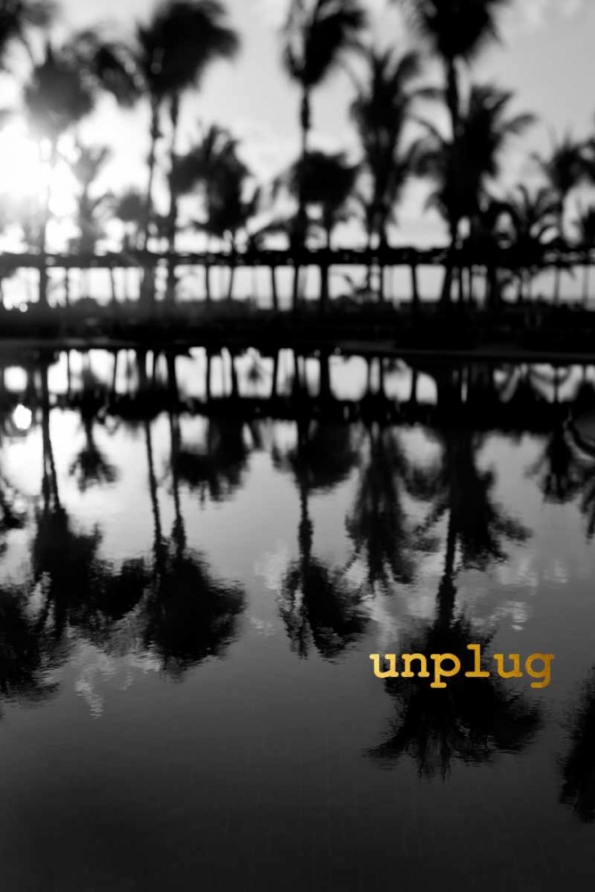 Palms Unplugged art print by Tracey Telik for $57.95 CAD